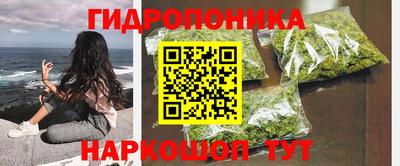 ГАЛЛЮЦИНОГЕННЫЕ ГРИБЫ Брянск