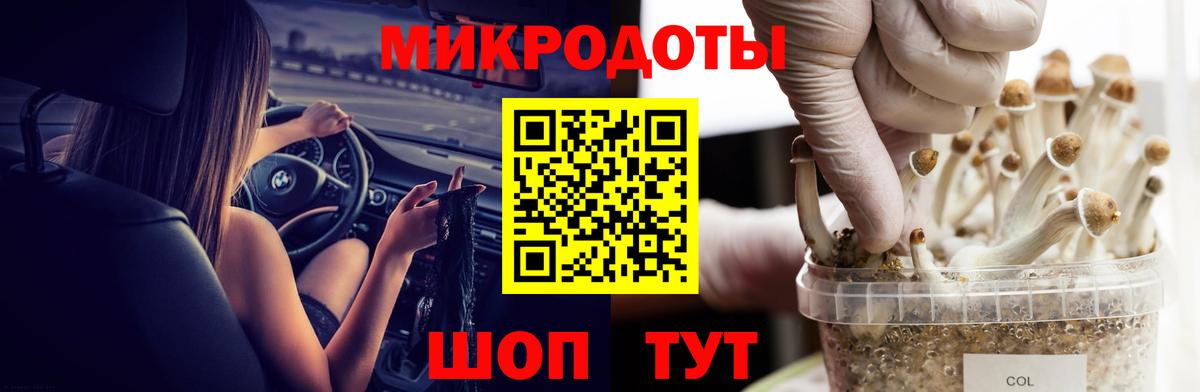 Реутов  Псилоцибиновые грибы прущие грибы  Вход с VPN  купить  цена  Псилоцибиновые грибы Psilocybine cubensis 